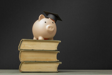 Piggy bank and book. College fees saving concept, copy space for text