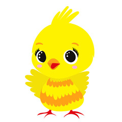 cute chicken cartoon on white background