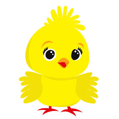 cute chicken cartoon on white background, vector