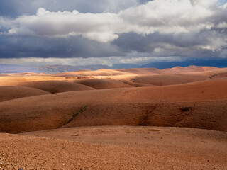 Fototapeta na wymiar Agafay desert in Marrakech Morocco