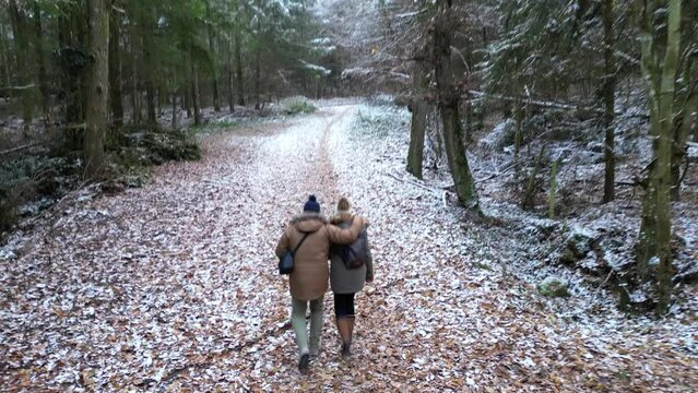 Suivi a&eacute;rien d'un couple amoureux marchant en for&ecirc;t