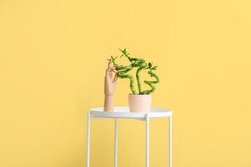 Pot with bamboo plant and wooden hand on table near color wall