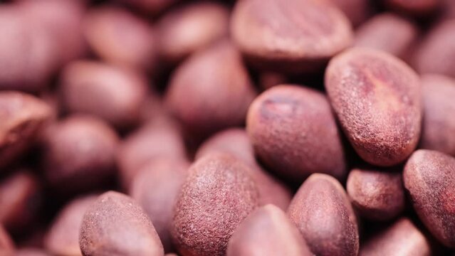 Pine nut grains in a shell in bulk