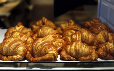 freshly baked croissant in pastry oven