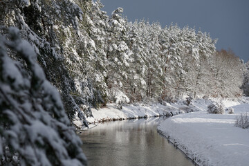 Zimowy krajobraz z rzeką. Białe, ośnieżone drzewa iglaste, choinki. na tle ciemnego nieba. Chmura śniegowa. © Tomasz