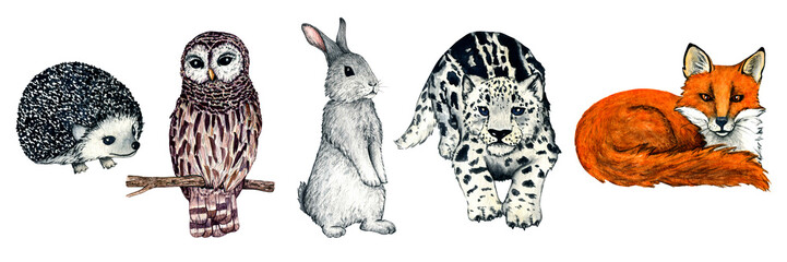 Watercolor wild forest animal footprints. Illustration fox, hedgehog, hare, rabbit for kids design.
