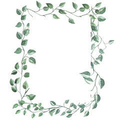 Obraz premium Watercolor wreath of ruscus branches. Hand painted vintage frame with rectangle shaped branches. Greeting card in eco style for Valentine's Day. Traditional evergreen frame. Christmas green wreath.