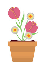 spring flowers in pot