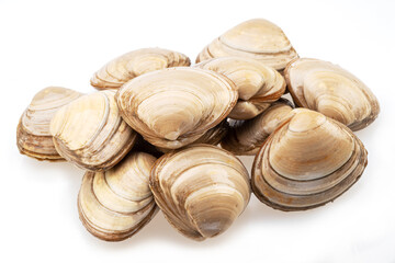 Edible raw clams isolated on white background. Delicacy food.