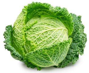 Fresh green savoy cabbage isolated on white background. File contains clipping path.