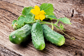 Fresh small cucumbers with leaves and flower on old wooden table.