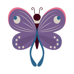 beauty purple butterfly insect