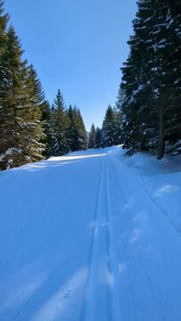 Sci di fondo nordico sulla pista, Passo Coe, Folgaria, Trentino