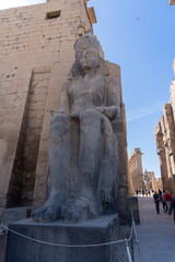 Fototapeta na wymiar Statues at the entrance of the Luxor Temple in Egypt, on a sunny day.