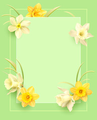 Romantic delicate background with floral border of daffodils. Template for greeting card, invitation. Vector illustration.