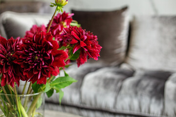 Bouquet of red dahlia in interior. Beautiful modern interior and fresh flowers