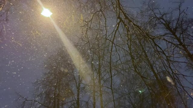 Falling snow on blurred trees background. Snowfall backlit with modern street lamp in city street at night in winter. Snowflakes illuminated by bright light in park