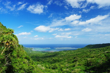 Fototapeta na wymiar 沖縄県西表島ユツンの滝上からの景色 