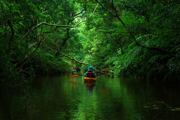 沖縄県西表島　アダナデ川でカヤック