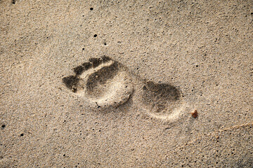 Der Fußabdruck einer Person im feuchten Sand am Strand.
