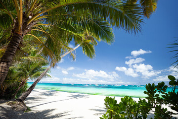 Fototapeta na wymiar Pristine beach with palm trees, white sand and turquoise tropical sea. Travel destination