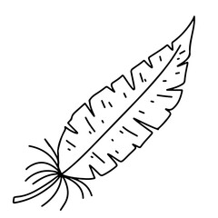 Feather in hand drawn doodle style. Vector illustration isolated on white background.