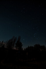 Fototapeta premium Starry sky, the edge of a pine forest, morning light makes its way through the trees