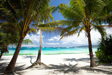 Pristine beach with palm trees, white sand and turquoise tropical sea. Travel destination