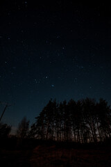 Starry sky, the edge of a pine forest, morning light makes its way through the trees