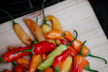 alimento