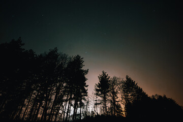 Starry sky, the edge of a pine forest, morning light makes its way through the trees