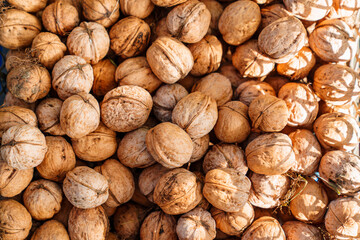 boxes of walnuts. harvesting nuts on the farm. 