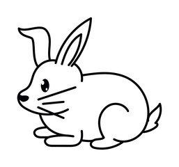 rabbit animal coloring