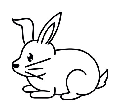 rabbit animal coloring