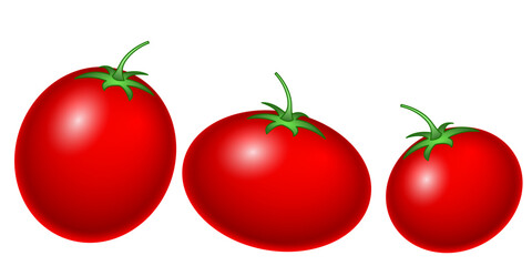 Tomato berry illustration