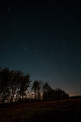 Fototapeta premium Starry sky, the edge of a pine forest, morning light makes its way through the trees