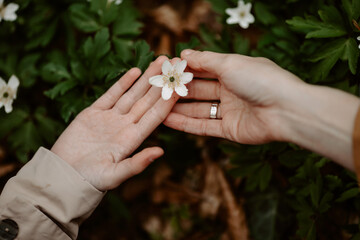 Close up of woman's hands holding tiny white flower. Incognito mother and daughter keeping...
