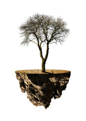 Arid island with dry tree isolated on transparent background, PNG. Global warming or change climate concept.