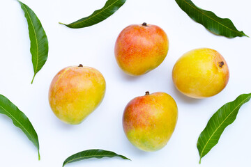 Tropical fruit, Mango  on white background.