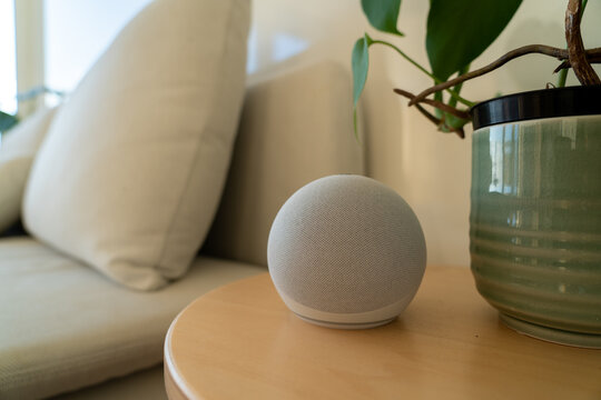 VIENNA, AUSTRIA - February 7 Amazon Alexa on a wooden bench with some green plants in a living room