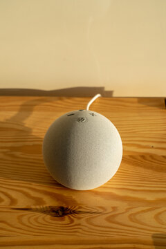 VIENNA, AUSTRIA - February 7 Amazon Alexa on a wooden bench with some green plants in a living room