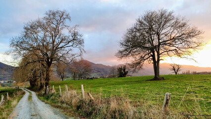 Obraz premium Trail, meadows and rural landscape near Ceceda village, Nava municipality, Asturias, Spain