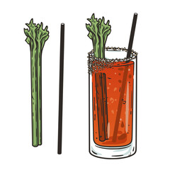 Bloody Mary cocktail with celery and salt for design menu of summer party. Red alcochol or bloody cocktail with vodka and tomato juice for beash bar - obrazy, fototapety, plakaty