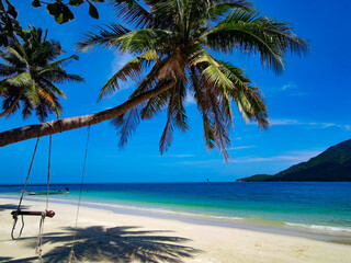 Fototapeta na wymiar Palm with the swing on the beach and the sea
