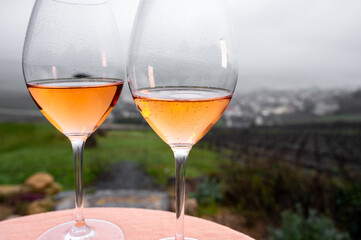 Tasting of premier cru sparkling rose wine with bubbles champagne outdoor with view on hilly pinot meunier vineyards in Hautvillers in February, near Epernay, France.