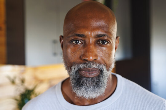 Close-up portrait of bald and bearded african american senior man in log cabin