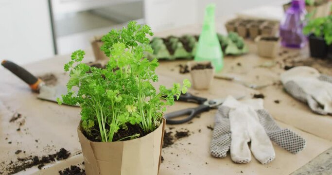 Close up of garden equipment with gloves and plants on table in kitchen