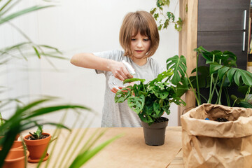 A teenage girl sprays home flowers from a spray bottle at home. House plant care. Hobby for a teenager