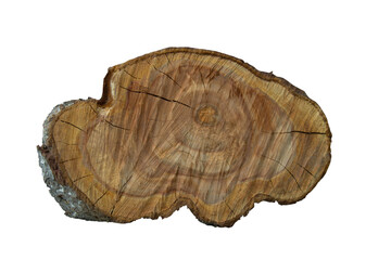 Cross section of a tree trunk with growth rings, for displaying perfumes, jewelry and beauty products, isolated on a transparent background