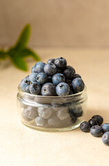 Blueberries, fresh berry in glass bowl, neutral background
